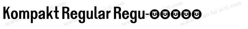 Kompakt Regular Regu字体转换